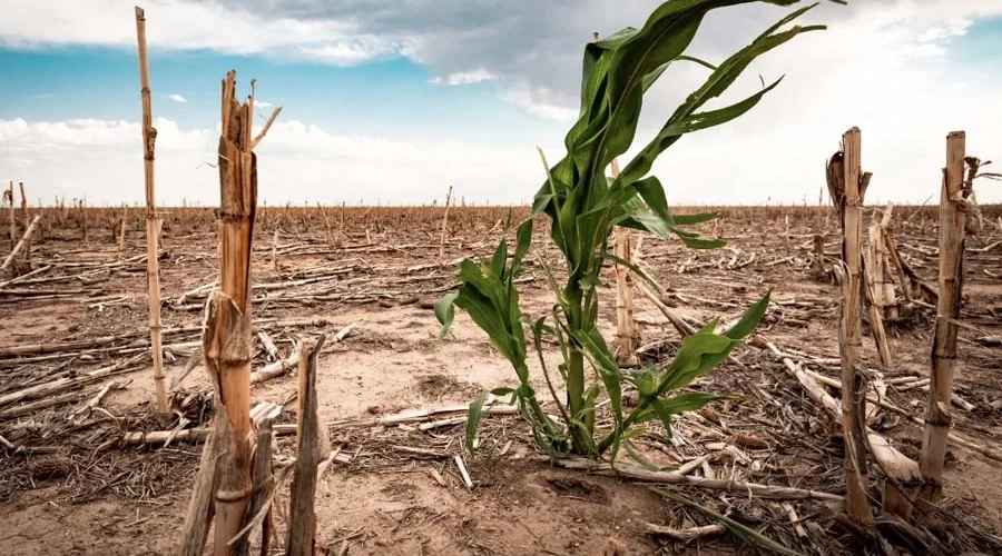 Impact of Climate Change on UAE and the Role of Tractors in Agriculture