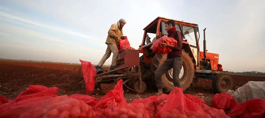 The Role of Tractors in Boosting UAE Food Security Goals - Massey Ferguson United Arab Emirates The Role of Tractors in Boosting UAE Food Security Goals