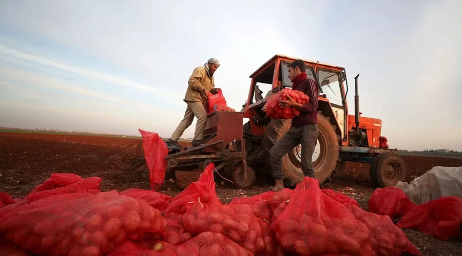 The Role of Tractors in Boosting UAE Food Security Goals